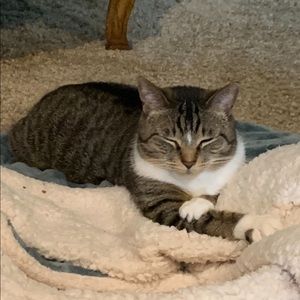 Meet your Posher, Julia